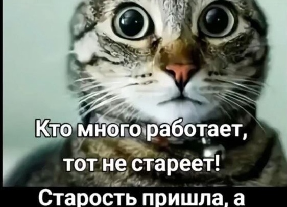 Для тех, кто много работает в интернете: как сделать Chrome идеальным браузером, продуктивным и даже экономным