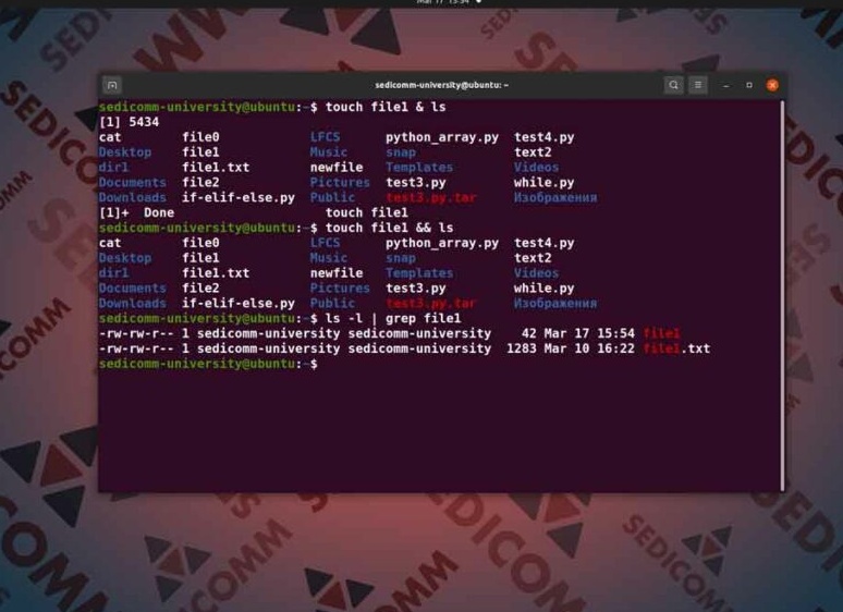 Как запустить несколько команд в CMD